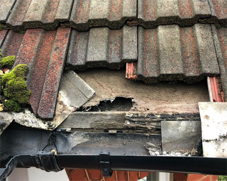 Storm damage roof repair Berkshire
